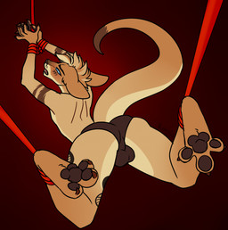 anthro arms_tied bdsm black_clothing black_panties black_pawpads black_underwear blue_eyes blush bondage bound brown_claws bulge butt claws clothing detailed_bulge fur legs_tied male mohawk open_mouth orange_body orange_fur panties pawpads paws raised_tail rear_view red_background restraints rope rope_bondage simple_background solo tail underwear konejo kangaroo macropod mammal marsupial 2025 colored colored_sketch digital_drawing_(artwork) digital_media_(artwork) flat_colors hi_res sketch