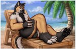 anthro balls beach chair furniture genitals lounge_chair male muscular nude nude_beach outside palm_tree paws plant reposlegend seaside sitting solo tree gevual canid canine canis domestic_dog german_shepherd herding_dog mammal pastoral_dog