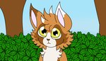 anthro big_ears big_eyes forest fur male markings multicolored_body multicolored_fur plant solo tree coelhoposa_(artist) sweet_(coelhoposa) bat-eared_fox canid canine fox mammal absurd_res digital_media_(artwork) hi_res