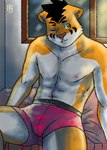 alone_in_the_room anthro apocalips_rabbit boxers_(clothing) clothing foreign green_eyes male nipples piercing septum solo striped_body stripes underwear mr.tony99_(artist) felid mammal pantherine tiger hi_res