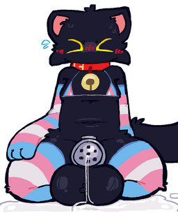 anthro bikini black_body black_fur blush bodily_fluids breasts cage chastity_cage chastity_device clothing eyes_closed flat_chastity_cage fur genital_fluids gynomorph intersex kneeling leaking_precum lgbt_pride precum precum_through_chastity_cage pride_colors simple_background solo swimwear transgender_pride_colors two-piece_swimsuit mewzbloom domestic_cat felid feline felis mammal hi_res trans_(lore) trans_woman_(lore)