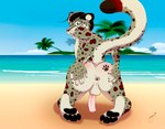 anthro anus balls beach butt feet foot_focus foreskin genitals male penis presenting presenting_anus presenting_balls presenting_penis raised_tail sand sea seaside solo spread_anus spread_butt spreading stretched_anus tail teasing water geeo umbrose felid mammal pantherine snow_leopard hi_res