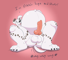 animal_genitalia animal_penis anus balls belly big_belly canine_genitalia canine_penis erection feet genitals huge_belly hyper hyper_belly hyper_pregnancy knot male navel nude outie_navel paws penis pregnant pregnant_male tail tail_motion tailwag text toes pascal_(artist) pascal_(cudacore) canid canine canis dalmatian domestic_dog mammal absurd_res english_text hi_res
