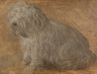 ambiguous_feral ambiguous_gender covered_eyes feral fluffy fur quadruped side_view simple_background sitting snout solo tail white_body white_fur tiziano_vecellio canid canine canis domestic_dog maltese mammal toy_dog 16th_century absurd_res ancient_art hi_res oil_painting_(artwork) painting_(artwork) traditional_media_(artwork) traditional_painting_(artwork)