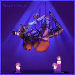 anthro athletic bdsm bedroom_eyes belly big_belly big_breasts black_mouth blue_tongue blush bondage bound breasts brown_body brown_fur candle candlelight cloven_hooves eyelashes eyeliner female fetlocks fur genitals hair hooves huge_belly inner_ear_fluff light looking_at_viewer makeup markings narrowed_eyes navel nipples outie_navel pregnant pregnant_anthro pregnant_female prehensile_tongue pubes purple_tongue red_hair restraints rope rope_bondage rope_harness seductive side_view skylight solo striped_arms striped_body striped_fur striped_legs striped_markings stripes suspension suspension_bondage tail tail_tuft tongue tuft vulva white_body white_fur peachy-jingle genevieve_lykelle giraffid mammal okapi 1:1 2025 hi_res