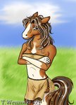 anthro clothed clothing female field pose solo akitohedgehog essa equid equine horse mammal