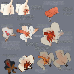 animal_genitalia animal_penis anus big_penis bodily_fluids butt cock_and_ball_torture egg erection feelers feral flared_penis fur genital_fluids genital_mutilation genital_torture genitals group herm infibulation intersex maleherm mutilation nude ovipositor penectomy penis penis_size_difference presenting presenting_hindquarters presenting_penis presenting_vulva scar sheath simple_background size_difference spread_legs spreading tail text vulva puppyratcat alien canid canine mammal vortihound 1:1 english_text hi_res model_sheet