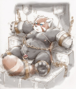 anthro bandage belly black_body blush bottomwear bound chain chained clothing erection genitals kemono loincloth male medical_instrument moobs navel nipples overweight overweight_male penis scientific_instrument sitting solo urethral roostax_wilddog ailurid mammal red_panda 2017