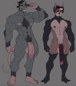 abs anthro athletic athletic_anthro athletic_male balls beard biceps black_body black_fur black_hair brown_body brown_fur brush chest_tuft claws comb_(brush) duo facial_hair flaccid fur furless_tail genitals gold_(metal) gold_tooth grey_body grey_fur hair hairbrush long_penis male nipples nude pecs penis pubes quads scar smile standing tuft vein veiny_penis white_hair castbound russell_(castbound) vincenzo_leone canid canine canis domestic_dog mammal murid murine rat rodent
