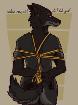 anthro bdsm black_body black_fur blush bondage bound box_tie dialogue earrings_only ears_back female fur grey_body grey_fur looking_at_viewer looking_back pivoted_ears restraints rope rope_bondage rope_harness shy simple_background solo submissive submissive_female talking_to_viewer text yellow_eyes coyobites canid canine canis mammal wolf 3:4 english_text hi_res