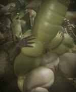 5_fingers anthro anthro_on_bottom anthro_on_top anus bedroom_eyes black_claws black_sclera blinking bone butt claws curved_horn duo female female/female female_anthro female_on_bottom female_on_top fingers genitals green_eyes hand_on_butt horn looking_at_viewer looking_back looking_back_at_viewer lying narrowed_eyes nude nude_anthro nude_female on_back on_bottom on_top open_mouth open_smile presenting presenting_hindquarters pupils pussy raised_tail scales seductive shaking_butt sharp_teeth skeleton slit_pupils smile tail take_your_pick teeth text thick_thighs tongue tongue_out yellow_eyes jaeger3d vulgarvictor_(modeler) fallout microsoft mommyclaw_(vulgarvictor) deathclaw scalie 2025 3d_(artwork) 3d_animation 5:6 animated artist_name digital_media_(artwork) loop no_sound short_playtime webm