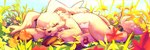 anthro claws detailed_background eyes_closed flower_field fur grey_body grey_fur long_ears male sleeping solo nuitt bandai_namco digimon digimon_(species) gazimon hi_res