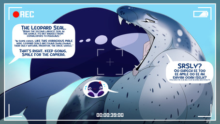 ambiguous_gender ambiguous_prey black_spots duo female female_pred female_prey feral feral_pred feral_prey grey_body grey_eyes head_first neck_bulge oral_vore recording speech_bubble spots text underwater vore water white_spots dolphinproject aquatic cetacean dolphin leopard_seal mammal oceanic_dolphin orca pinniped seal toothed_whale 16:9 2025 english_text hi_res widescreen