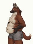 anthro belly_overhang bottomwear boxers_(clothing) bulge clothing furgonomics furry-specific_piercing hand_on_belly holding_belly looking_down love_handles male multicolored_body nipples obese obese_anthro obese_male overweight overweight_anthro overweight_male piercing simple_background solo two_tone_body underwear white_background cettus leggy_(cettus) canid canine mammal maned_wolf 2019 digital_drawing_(artwork) digital_media_(artwork) hi_res