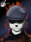 anthro fur grey_body grey_fur male military soldier warrior itsjimmm battlefield_(series) electronic_arts jim_(itsjimmm) canid canine canis domestic_dog husky mammal nordic_sled_dog spitz