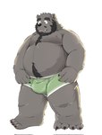 anthro beard belly big_belly black_nose bulge clothing facial_hair humanoid_hands kemono male moobs nipples overweight overweight_male solo underwear tengzai05 love_mechanic tom_(lm) bear mammal 2023 hi_res