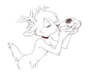 ambiguous_anthro ambiguous_gender anthro antlers bone choker holding_object holding_skull horn jewelry male narrowed_eyes navel necklace skinny skull solo tail koiyaroid koiyaroid_(character) deer mammal black_and_white monochrome