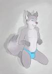 anthro blue_eyes clothed clothing fur looking_at_viewer male simple_background sitting skimpy smile solo speedo swimwear topless underwear boblios canid canine mammal hi_res