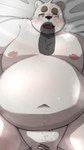 anthro belly big_belly blush duo genitals kemono lying male male/male moobs navel nipples overweight overweight_male penis solo_focus menmen_kesinn bear mammal 2022 9:16 censored hi_res