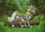 animal_genitalia animal_penis balls bodily_fluids canine_genitalia canine_penis collar cum ejaculation erection feral genital_fluids genitals knot knotted_penis male penis sheath solo cuteconfy canid canine mammal hi_res