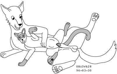 abdominal_bulge animal_genitalia balls dominant duo erection female feral genitals knot_root knotting larger_dom lying male male/female nude on_side questionable_consent sheath simple_background size_difference spread_legs spreading tail white_background urbanhermit canid canine canis domestic_cat domestic_dog felid feline felis mammal 1996 dated low_res