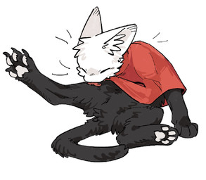 ambiguous_gender black_body black_fur clothing eyes_closed feral fur inner_ear_fluff licking pawpads paws quadruped red_clothing self_lick simple_background solo tail tongue tongue_out tuft white_background aaasakawa hollow_knight_(franchise) team_cherry hornet_(hollow_knight) felid feline mammal 2026 hi_res female_(lore)
