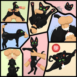 abdominal_bulge anal anal_penetration anus backsack balls balls_deep bestiality bestiality_impregnation black_body black_eyes black_fur bodily_fluids bulge butt cheek_bulge cum cum_in_ass cum_in_vagina cum_inside deep_penetration deep_throat disembodied_hand disembodied_penis double_fellatio double_oral double_penetration erection fellatio female female_feral feral feral_penetrated fur genital_fluids genitals glans grabbing_from_behind green_sclera group heart_pupils heart_symbol human_on_feral human_penetrating human_penetrating_feral impregnation interspecies interspecies_impregnation licking licking_cum looking_at_another looking_at_genitalia looking_at_penis looking_worried male male/female male_human male_on_feral neck_bulge oral oral_penetration ovum ovum_with_face pawpads paws penetration penile penile_penetration penis penis_in_ass pink_nose self_lick sex size_difference smaller_penetrated sound_effects sperm_cell spitroast tail tail_grab tail_pull tongue tongue_out trio vaginal vaginal_penetration vulva whiskers white_whiskers majika little_kitty_big_city little_kitty_(lkbc) domestic_cat felid feline felis human mammal 1:1 2025 absurd_res comic hi_res multiple_images multiple_scenes