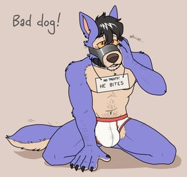 anthro bulge claws clothed clothing collar embarrassed humiliation kneeling male muzzle_(object) muzzled solo underwear underwear_only blueballs lupe_(blueballs) canid canine canis mammal wolf hi_res