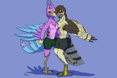 3_fingers 3_toes 4_toes anisodactyl anthro avian_feet blue_body blue_feathers bottomwear brown_body brown_feathers bulge claws clothed clothing countershading duo feathered_wings feathers feet fingers green_eyes hand_on_hip lidded_eyes looking_at_viewer male multicolored_body multicolored_feathers pink_body pink_feathers raised_leg scuted_arms scutes shorts smile spandex spandex_shorts tail tail_feathers talons tan_body tan_feathers tight_bottomwear tight_clothing tight_shorts toe_claws toes topless winged_arms wings yellow_eyes doesnotexist gyro_feather lief_woodcock accipiter accipitrid accipitriform avian bird eurasian_sparrowhawk galliform peafowl phasianid true_hawk 2020 digital_media_(artwork) hi_res signature