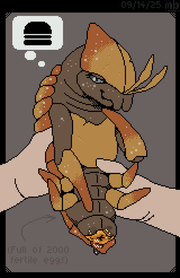 ambiguous_gender animal_genitalia arthropod_abdomen arthropod_abdomen_cloaca arthropod_abdomen_genitalia cloaca duo female feral first_person_view genitals human_pov orange_carapace pov_hands presenting presenting_cloaca size_difference mustard_(welcometothevoid) barotrauma orange_boy alien human mammal digital_media_(artwork) pixel_(artwork)