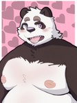 anthro belly big_belly black_body black_nose blush heart_symbol kemono male moobs nipples overweight overweight_male solo tongue tongue_out white_body menmen_kesinn bear giant_panda mammal 2022 3:4