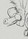 animal_genitalia animal_penis balls canine_genitalia canine_penis claws close-up erection feral fur genitals knot male pawpads penis sheath simple_background solo vixel canid canine fox mammal digital_drawing_(artwork) digital_media_(artwork) hi_res monochrome sketch