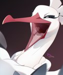 ambiguous_gender beak bodily_fluids feathers mouth_shot open_mouth saliva saliva_string simple_background solo tongue white_body white_feathers seonmi nintendo pokemon avian bombirdier generation_9_pokemon pokemon_(species) hi_res