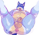 anthro anus balls barazoku bedroom_eyes belly_hair black_nose blue_body blue_fur blue_markings body_hair butt_hair chest_hair foreskin fur genitals hairy_balls half-closed_eyes humanoid_genitalia humanoid_penis leg_markings male markings mature_anthro mature_male mouth_closed narrowed_eyes nipples overweight overweight_anthro overweight_male penis pink_nipples presenting presenting_anus seductive simple_background socks_(marking) solo spread_legs spreading thick_thighs tongue tongue_out whisker_spots white_background nibblenippler bluey_(series) bandit_heeler australian_cattle_dog canid canine canis cattledog domestic_dog herding_dog mammal pastoral_dog 2025 english_description hi_res