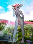 accessory anthro balls breasts flower flower_in_hair genitals gynomorph hair hair_accessory intersex nipples penis plant solo veil mertzdn_(artist) rose_(rosethegoat) bovid caprine goat mammal absurd_res hi_res