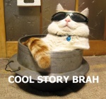 :3 ambiguous_gender bell collar cool_story_bro eyewear feral humor pink_nose real relaxing solo sunglasses tail text unknown_artist deal_with_it if_it_fits_i_sits_(meme) kagoneko lolcats shiro_(kagoneko) domestic_cat felid feline felis mammal tabby_cat english_text grandfathered_content image_macro meme reaction_image story