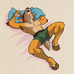 anthro armpit_hair body_hair boxer_briefs boxer_briefs_only bulge clothed clothing green_boxer_briefs green_clothing green_underwear hooves male open_mouth pillow sleeping solo topless underwear underwear_only jackaloo jack_(jackaloo) canid canine canis deer dingo hybrid mammal 1:1 2025 hi_res
