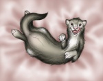 ambiguous_gender feral licking licking_lips licking_own_lips looking_at_viewer lying on_back open_mouth self_lick solo tail tongue tongue_out anakuro domestic_ferret mammal mustelid musteline true_musteline weasel 2009 digital_media_(artwork)