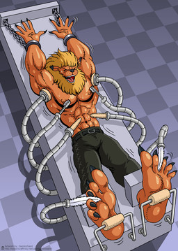 5_toes abs anthro apparatus barefoot bdsm belt belt_buckle biceps bodily_fluids bondage bottomwear bound brush brushing buckle chain chained claws clothed clothing cuff_(restraint) denim denim_bottomwear denim_clothing dungeon ear_piercing ear_ring eyes_closed feathers feet finger_claws fingers foot_fetish foot_focus fur furniture glistening glistening_body handcuffed handcuffs humanoid_feet jeans laugh long_ears lying machine male mane metal_cuffs metal_table muscular muscular_male nipples on_back on_table orange_body orange_fur palms pants partially_clothed pecs piercing plantigrade prisoner questionable_consent restrained restraining_table restraints ring_piercing robotic_arm shackles soles solo submissive submissive_male sweat sweatdrop table tickle_torture tickling tickling_machine toes topless torture geminisaint bandai_namco digimon digimon_(species) felid leomon mammal
