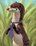 day detailed_background female feral grass necktie outside plant solo standing hazelthorn fret mammal mustelid musteline stoat true_musteline weasel