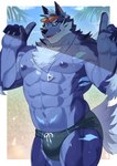 abs anthro beach blue_body blue_eyes blue_fur bodily_fluids bulge clothing eyewear fur jewelry looking_at_viewer male muscular muscular_anthro muscular_male navel necklace nipples palm_tree pecs plant solo sunglasses sweat swimwear tree agitongunohoken agitoryuusaki lifewonders tokyo_afterschool_summoners tindalos_(tas) canid canine canis mammal wolf absurd_res hi_res