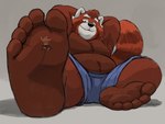 anthro barefoot duo extreme_size_difference feet foot_focus humanoid_feet lying male male/male overweight overweight_male paws plantigrade size_difference stuck_to_foot tail toes dj-rodney ailurid bear mammal red_panda 4:3 hi_res