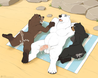 after_sex anthro anthro_on_anthro areola balls beach bodily_fluids breasts cum cum_in_vagina cum_inside feet female genital_fluids genitals group male male/female nipples nude open_mouth outside penis smile soles trio jishinu bear mammal polar_bear ursine 2026 5:4 hi_res