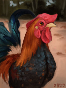 avian_caruncle beak black_body black_feathers comb_(anatomy) dewlap_(anatomy) feathers feral head_crest male multicolored_body multicolored_feathers orange_body orange_eyes orange_feathers red_comb_(anatomy) red_wattle solo tail tail_feathers teal_body teal_feathers wattle yellow_beak alexpahomov avian bird chicken galliform phasianid 2022 3:4 digital_media_(artwork) digital_painting_(artwork) painting_(artwork)