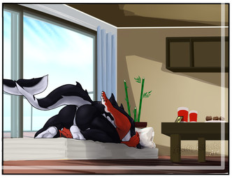 anal anal_penetration anthro bamboo bed bedroom black_body black_skin border butt dominant duo fin framed_picture fur furniture long_tail lying male male/male on_back penetration photo pillow rear_view red_body red_fur sex spread_legs spreading tail tail_fin white_body white_border white_fur white_skin window ayato_kamata ayato_(ayato_kamata) aquatic canid canine canis cetacean dolphin mammal oceanic_dolphin orca toothed_whale wolf hi_res watermark