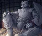 anthro asian_clothing biped bulge clothing dojo east_asian_clothing fur japanese_clothing looking_at_viewer male sitting solo spread_legs spreading nurinaki gingitsune gintaro canid canine fox mammal