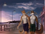 abs amusement_ride anthro beach biceps blue_eyes boardwalk bottomwear clothed clothing detailed_background duo dusk fair ferris_wheel hand_holding male male/male muscular muscular_male outside pecs romantic romantic_ambiance romantic_couple sand sea seaside shorts sky sunset swimming_trunks swimwear tail topless water thestory aarondingo chipfox dadingo avian bird canid canine canis dingo fox gull lari larid mammal red_fox true_fox digital_media_(artwork)