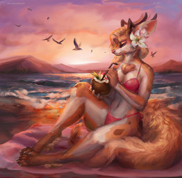 anthro beach bikini clothing coconut drupe_(fruit) female food fruit painting_(object) plant sea seaside solo sunset swimwear two-piece_swimsuit water wave disonti meuna avian bird canid canine deer fox hybrid mammal hi_res