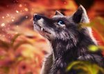 anthro black_body black_fur black_nose blue_eyes blurred_background fangs fur leaf looking_up plant solo teeth white_body white_fur flutti canid canine canis mammal wolf 2020 absurd_res detailed hi_res