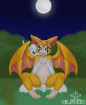bat blue_eyes breast_grab breasts chair_position duo dust:_an_elysian_tail felid feline female feral fidget_(elysian_tail) flaccid from_behind_position fur genitals grabbing_both_breasts grass green_eyes guardian_spirit hand_on_another's_breast hand_on_breast hi_res holding_breast humanoid_genitalia humanoid_penis innie_pussy looking_at_viewer male male/female mammal moon navel nimbat orange_body orange_fur ori_(ori) ori_(series) penis plant pussy sex silavos spread_wings watermark white_body white_fur wings